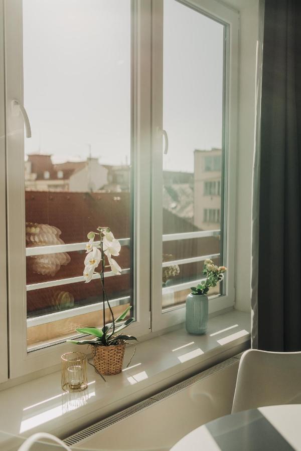 New Equipped Apartment In The City Center 플젠 외부 사진